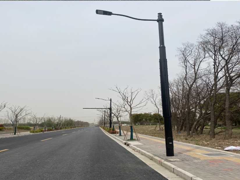 德昌县上海综合杆 太阳能路灯工程